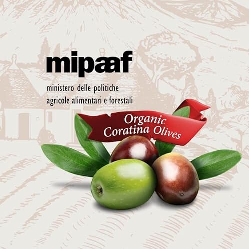 Flora Foods Italian Olives Castelvetrano with Pits | Sicilian Olives | 19 oz (530g) | 100% Italian | All Natural | Non GMO | Fresh Harvest Flora Foods Italian Olives Castelvetrano with Pits | Sicilian Olives | 19 oz (530g) | 100% Italian | All Natural | Non GMO | Fresh Harvest