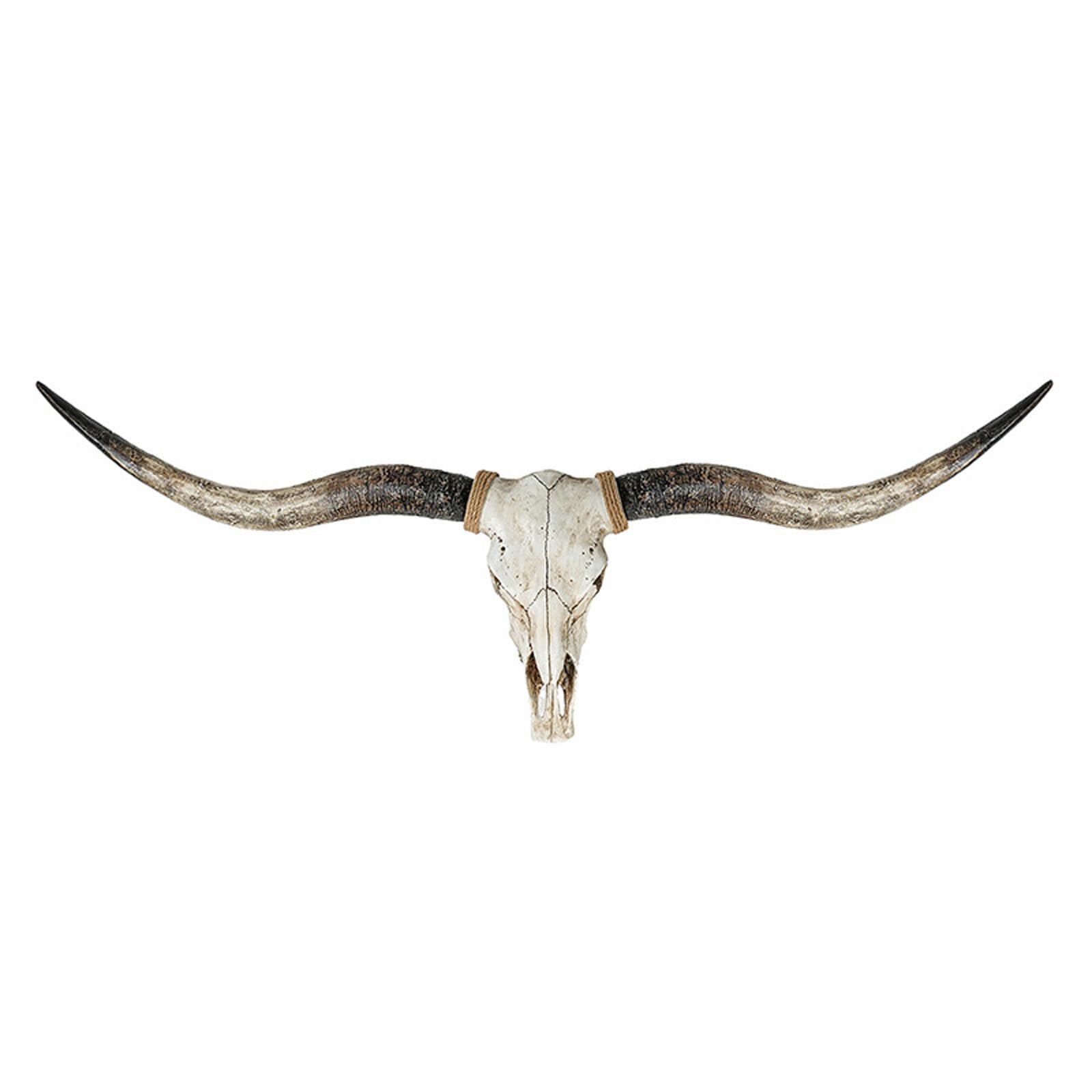 Cow Skull Wall Decor, Long Horn Cow Skull Wall Hanging Decor,Wall Hanging Faux Longhorn Skull,Faux Taxidermy Animal Head Handmade Wall Decor Home Sculpture,Faux Bull(Size:182x52cm,Color:D-Retro White)