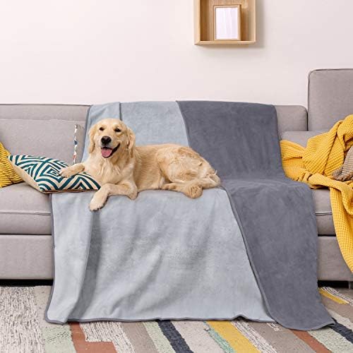 How To Keep Couch Protect Dog