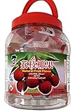 Daijyobu Natural Fruitery Lychee Fruit Jelly with coconut meat 49.4 oz