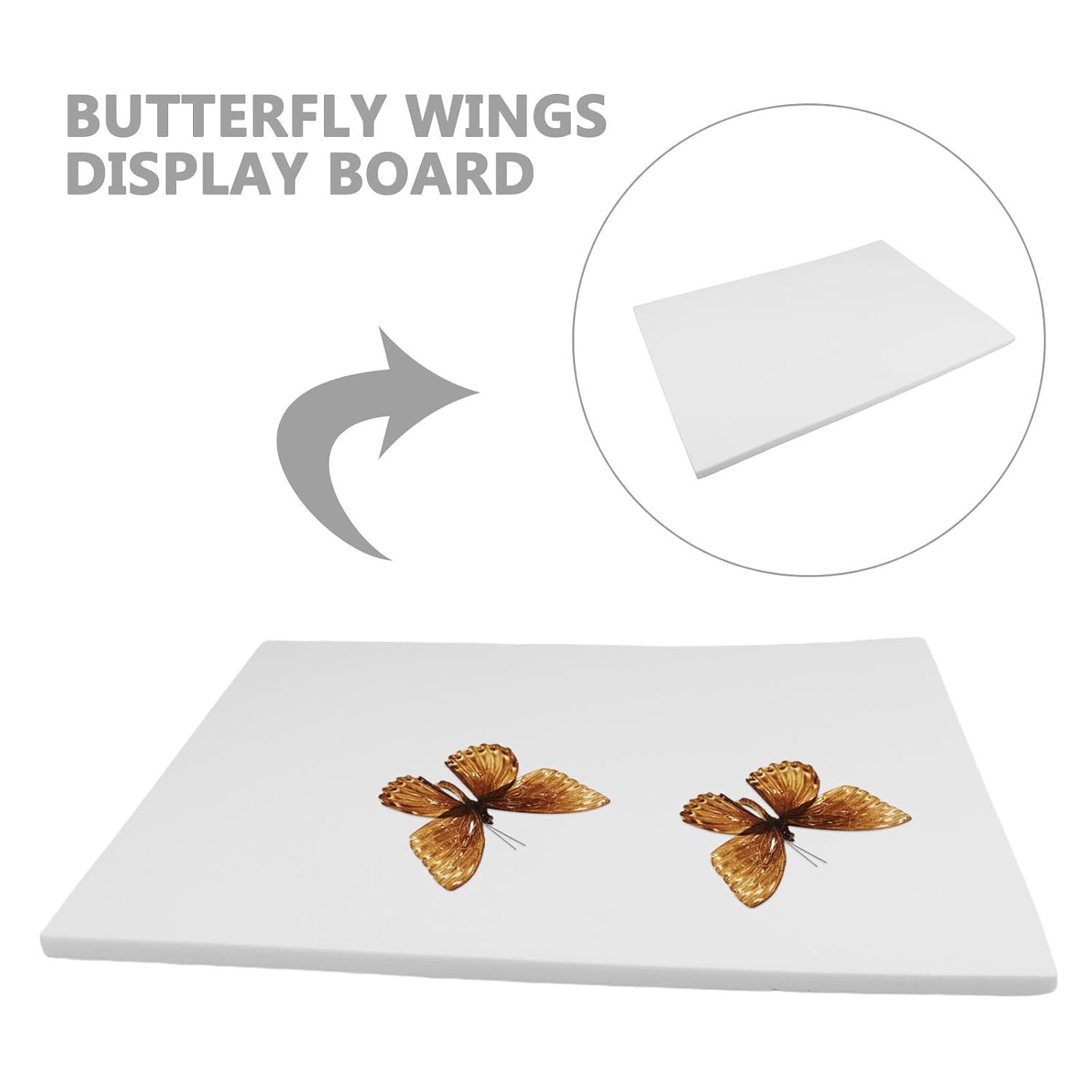 EVA Insect Pin Display Board for Butterfly and Bug Specimens