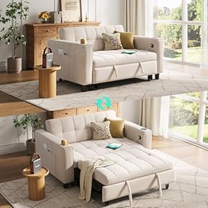 LINSY Sleeper Sofa Bed, 54″ P...