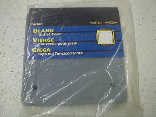 Carlon E9802CN-CAR Weatherproof Cover, 2-Gang, Vertical/Horizontal, Non-Metallic