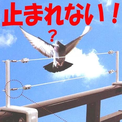 Amazon ベランダ用テグスセット ハトよけ 鳥よけ No 501 Diy 工具 ガーデン
