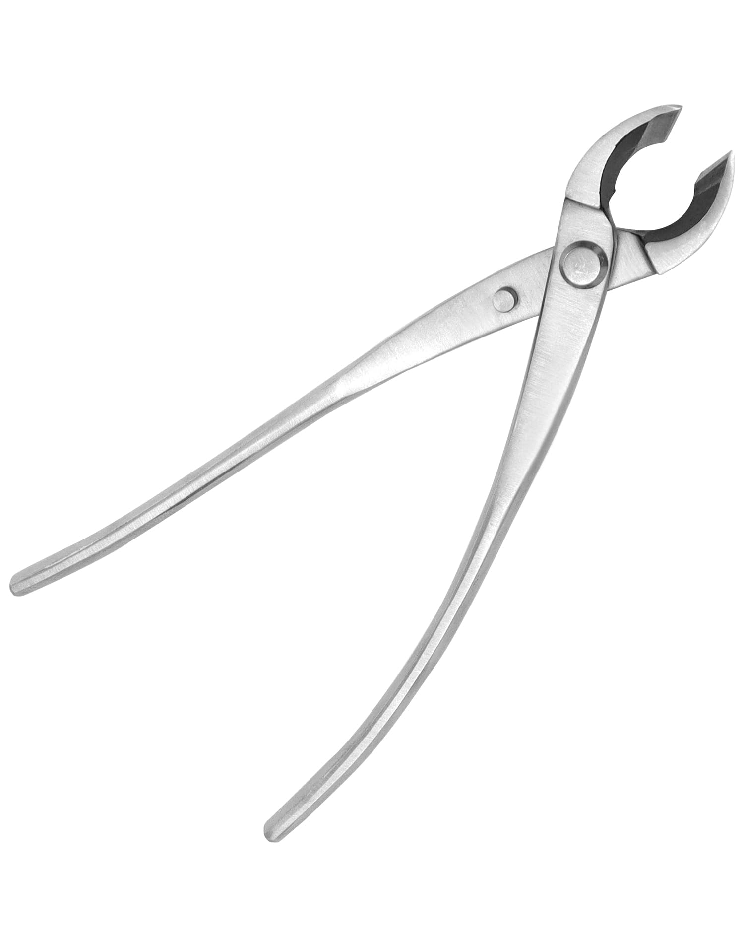 QWORK® Taglierina concava in Acciaio Inox - 21 cm - Strumento Bonsai per la potatura dei Rami dei Bonsai