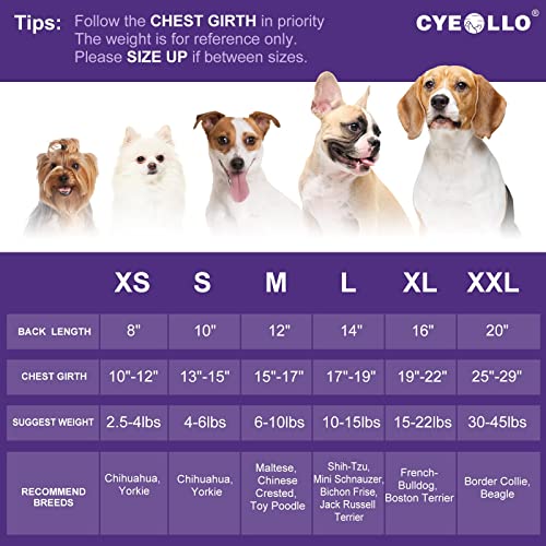 Cyeollo Dog Dresses For Small Dogs Lightweight Cooling Dog Dress Fruit Pattern Soft Breathable Doggie Pet Dog Clothes For Spring Summer #TOP3