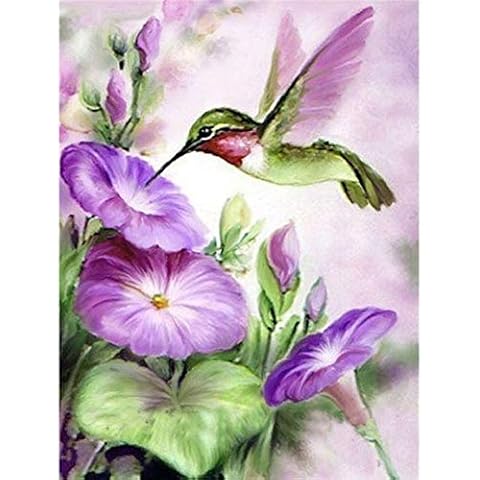 Diamond Painting Art for Adults Colorful Rainstone Dots Beads Kits Hummingbird Cover