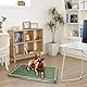 Hundetoilette 76×51 cm – 5-Schicht Hundeklo mit Tablett & 2 Ersatz Kunstrasen – Geruchsfrei, rutschfest, Waschbar – Für Zuhause, Balkon, Indoor & Outdoor