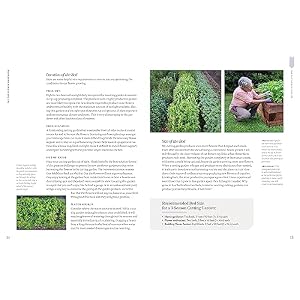 The Cut Flower Handbook Select Plant Grow and Harvest Gorgeous Blooms Hardcover–February 27 2024
