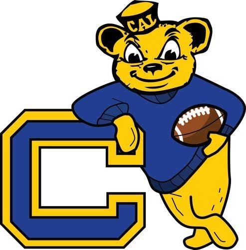 Yibuoo Berkeley Golden Bears Embroidered Patch Iron on Logo Vest Jacket Cap Hoodie Backpack Patch Iron On/sew on Patch
