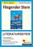 fliegender stern zusammenfassung  Fliegender Stern - Literaturseiten: Kopiervorlagen zur kapitelweisen Aufarbeitung der Lektüre