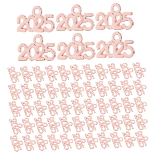 HAPINARY 100 Piezas De Dijes De Aleación 2025 Para Llaveros, Joyas, Collares, Dijes Para Hacer Pulseras, Dijes Para Pulseras De Dijes, Dijes De Números, Llaves Vintage, Fabricación De