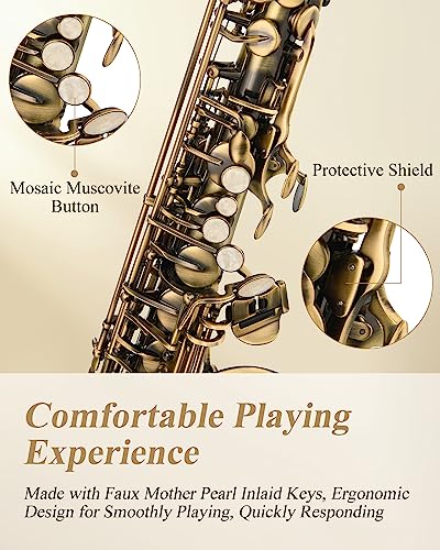 Image of Eastar Alto Saxophone Beginner E Flat, Vintage Bronze Full Kit, AS-II-Ab