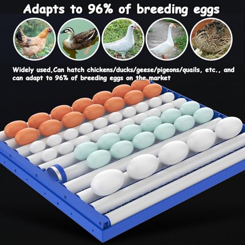 Incubadora automática de huevos con función de giro y agua, incluye vela para incubar aves de corral y huevos de aves