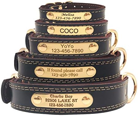 nameplate dog collars