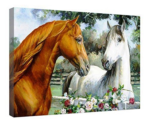 Impression toile chevaux d'amour avec cadre en bois noble 40x50cm