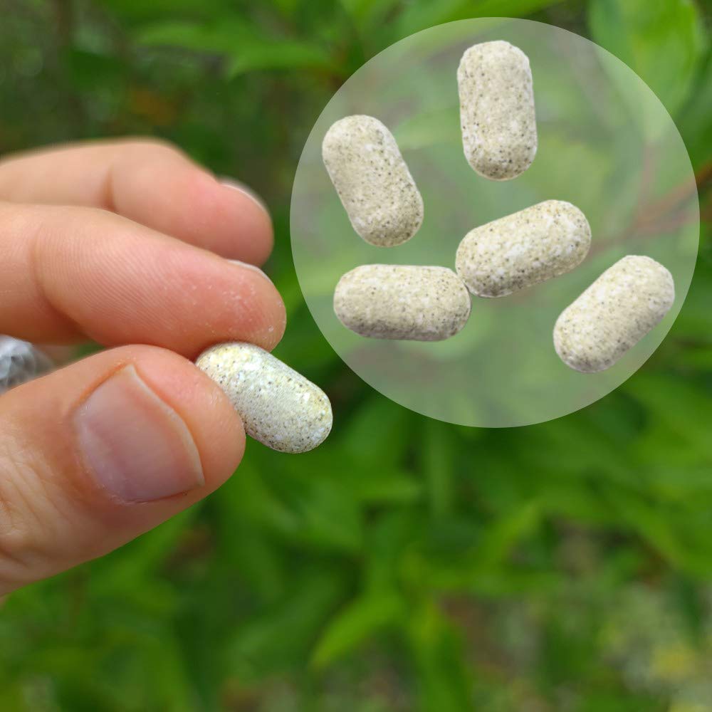 Dr. Jacob’s Melissen-Basentabletten I gut für Nerven & normalen Blutdruck* | Mit Melissenextrakt, Magnesium, Kalium, Zink, Citraten und 10 Vitaminen I für den Säure-Basen-Haushalt I 250 g(250 Tabletten)