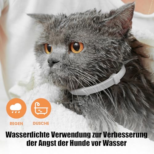 Beruhigendes Halsband für Katzen, Pheromon-Katzenhalsband, zur Linderung von Angst und Stress, verstellbar, wasserabweisend, beruhigende Halsbänder, 6 Stück (grau)