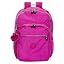 Pink Orchd