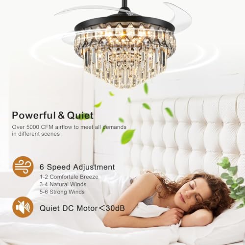 Image of FIDGRA 48'' Fandelier Ceiling Fan with Light, Chandelier Fan, Black