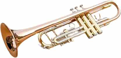 管楽器・吹奏楽器 Ultimate Brass Curran Orchestral SP 管楽器・吹奏楽器 Ultimate Brass Curran Orchestral SP