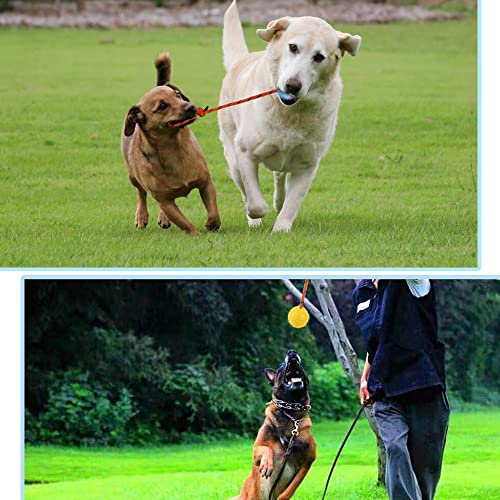 Nevperish 2 Pack Dog Ball, K9 Ball, Solid Rubber Ball On Rope For Reward thumb #3