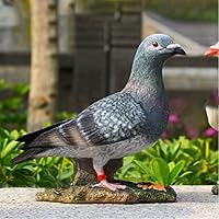Amazon.co.jp: 鳩の置物 白 ピジョン タイプ 鳥 えんぎものの置物 とり