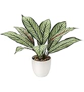 Small manufacture image 43