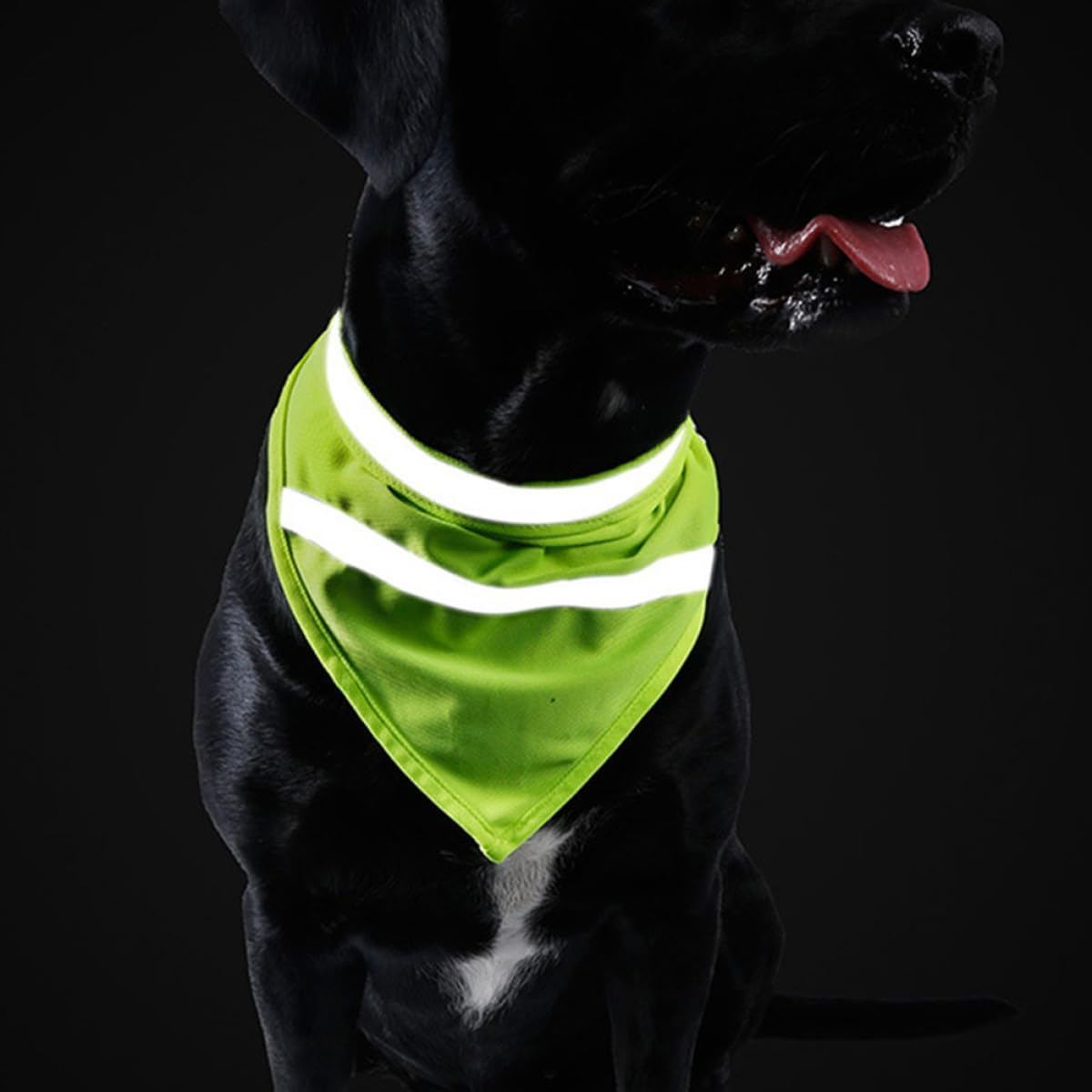 Reflective Dog Scarf and Pet Bandana Hook and Loop Fastener, L Size Fluorescent Yellow Polyester Puppy Bib for Night Walking and Dog Safety image 4