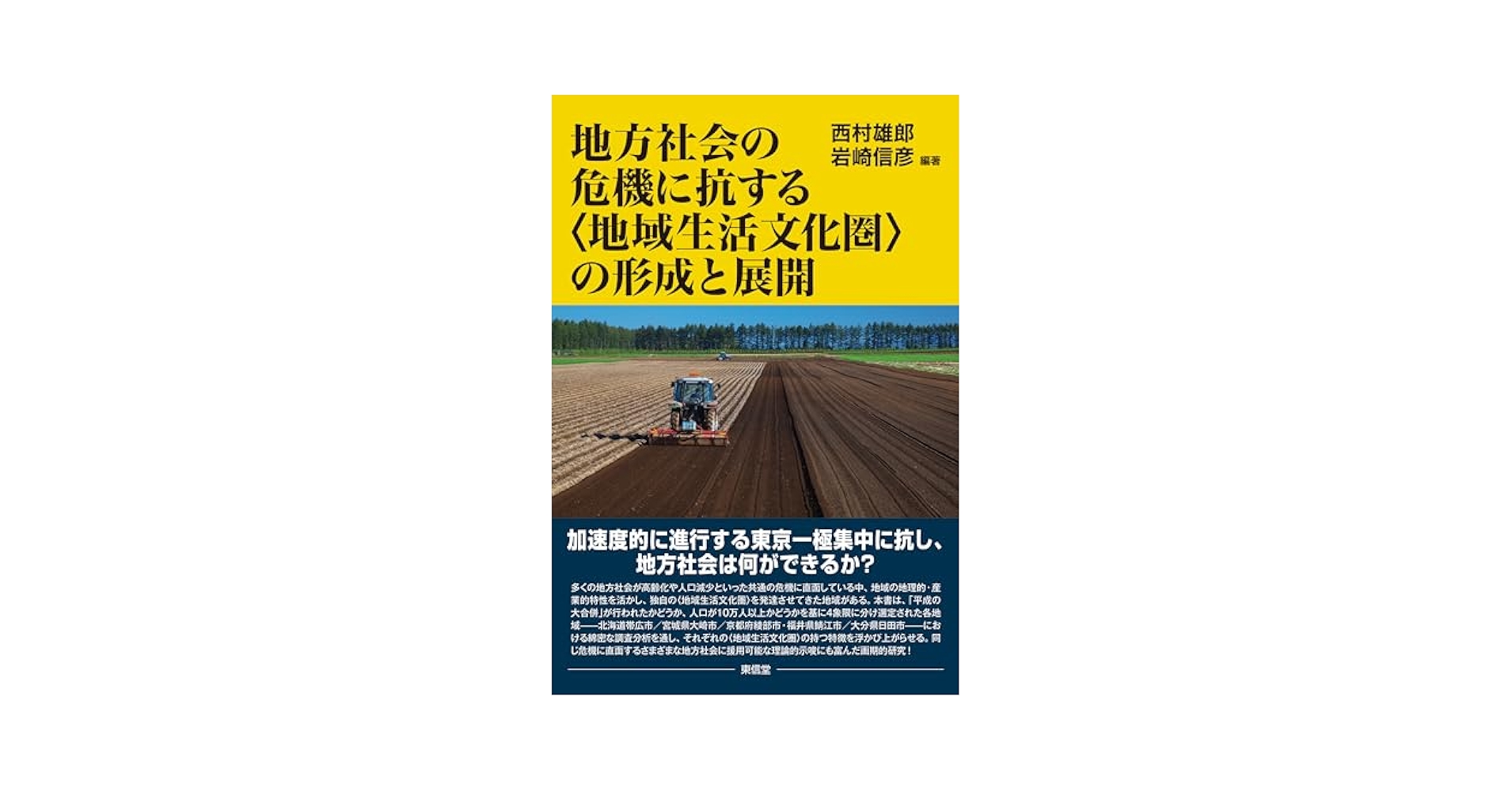 地方社会の危機に抗する〈地域生活文化圏〉の形成と展開／西村雄郞(編著),岩崎信彦(編著) 815XAVCHQ+L.jpg