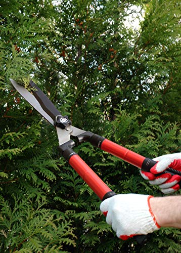 TABOR TOOLS B212A Telescopic Hedge Shears with Wavy Blade and Extendable Steel Handles. Extendable Manual Hedge Clippers for Trimming Borders, Boxwood, and Tall Bushes.