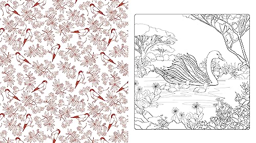Beautiful Nature Coloring Book: A Coloring Book to Celebrate the Natural World