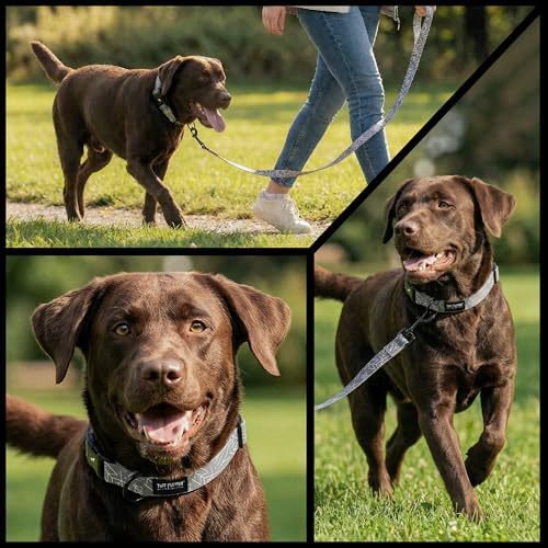 Image of Tuff Pupper Premium Adjustable Dog Collar for Extra Large Boy & Girl Dogs, Stylish Pattern Collars Designed in USA, Quick Release Buckle, TotemRealm Print, XL (1.25 Inch Wide x 20-30 Inch Neck)