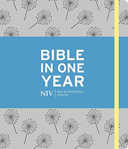 NIV Journalling Bible in One Year: Grey Hardcover – 18 Oct. 2018
