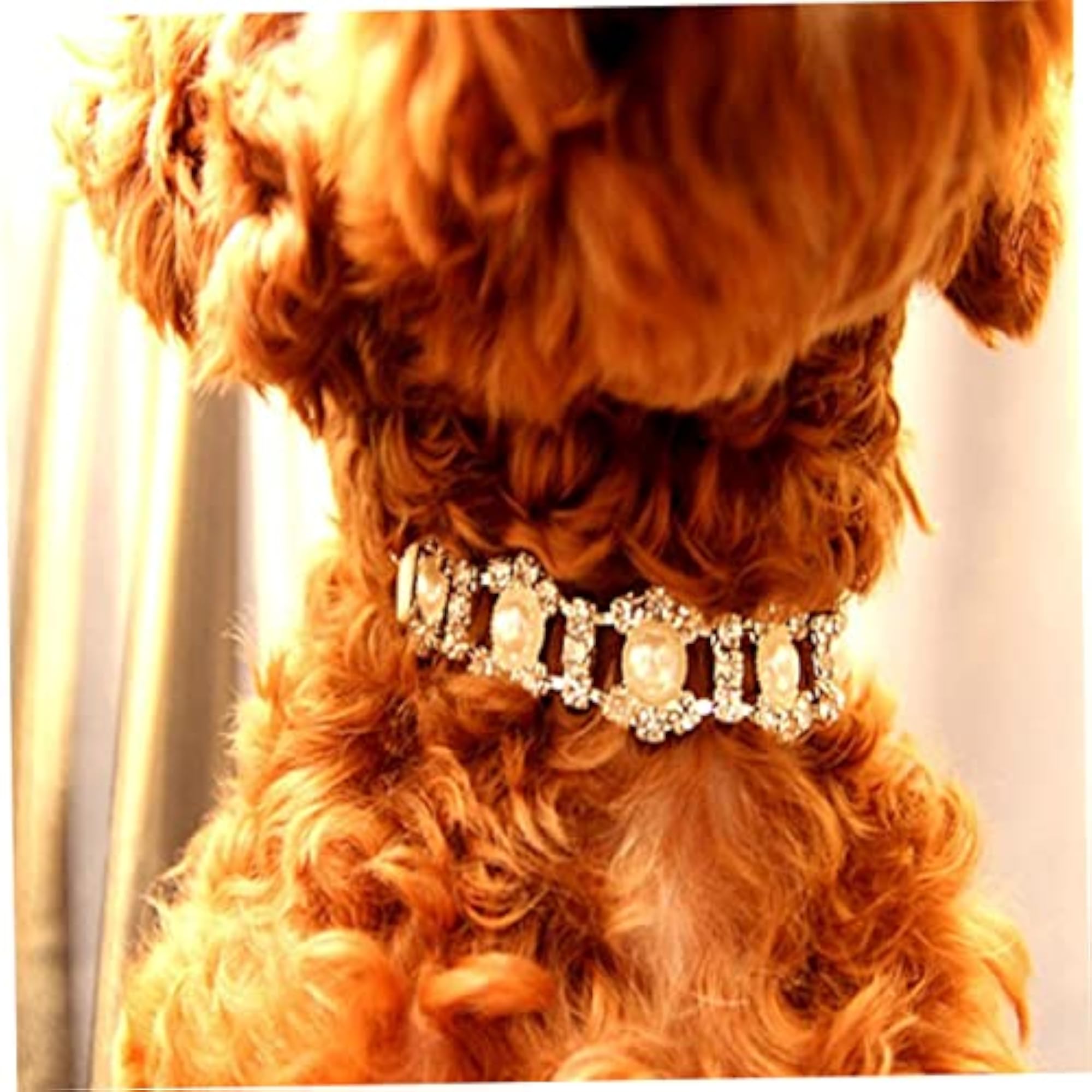 Luxury Dog Necklace Pearl Pendant Chain