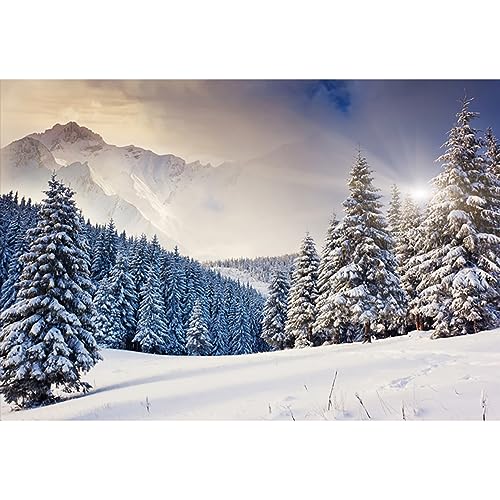 Toile De Fond Noël Rustique 3x2,5m – Décoration Hiver, Bois, Neige, Sapin – Fond Photo Studio