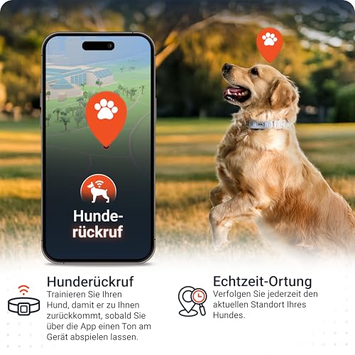 PAJ GPS Tracker für Hunde - 4G - Weglaufalarme + weltweite Live-Ortung - bis zu 10 Tage Akkusparmodus - Hunderückruf - mit Leucht-LEDs - Wasserdicht (IP67) - passt an jedes Halsband - schwarz