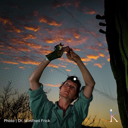 Bat Woman | With Dr. Winifred Frick, Research Biologist and Chief Scientist