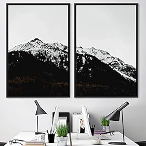 signwin 2 Piece Framed Canvas Wall Art Monochromatic...
