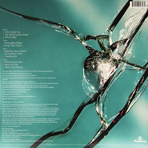 Hollow Meadows [Vinilo]