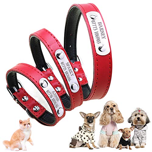 SUNCN L O qD [U[ ID^bO Dt {vLp ȒPE ߉\ S ʋC ^A^A^Ή q D  (??, XS 20-26cm)