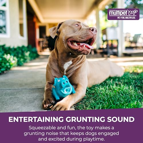 Multipet's 9-Inch Latex Polka Dot Globlet Pig Dog Toy, Assorted Colors, Large