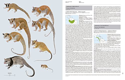 Handbook of the Mammals of the World - Volume 5: Monotremes and Marsupials (Handbook of Mammals of the World) - Image 4