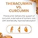 CurcuminRich Joint Curcumizer by Natural Factors, Support Healthy Joints, Heart and Natural Inflammatory Response with White Willow, 60 capsules (30 servings)