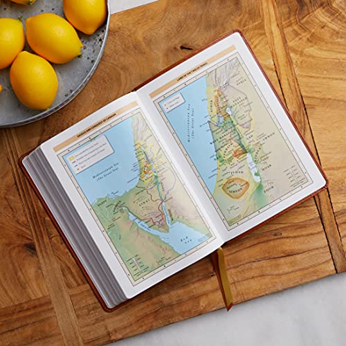 Kjv, Thinline Bible, Large Print, Vintage Series, Leathersoft, Burgundy, Red Letter, Comfort Print: