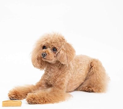 Amazon ペットプロ 犬用おやつ Happydays 大地からの贈り物 ヤクミルクチーズスティック スティック S 3本入り ペットプロ おやつ 通販