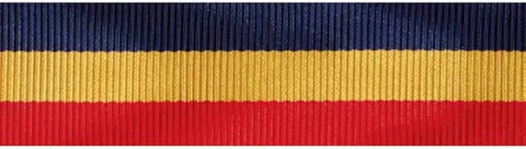 MEDALS OF AMERICA EST. 1976 Navy and Marine Corps Presidential Unit Citation