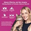 Cat Pheromones Calming Diffuser Premium Pheromone Diffuser for Cats - Cat Pheromones Diffuser - Cat Calming Diffuser - Cat Calming Pheromone Diffuser (Grey)