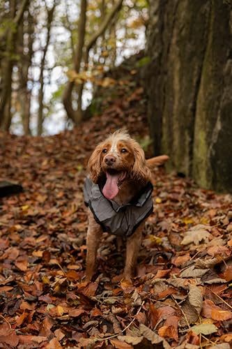 Danish Design 3-in-1-Hundemantel, reflektierend, 57 cm, wetterfest, mit Fleece gefüttert, stilvoller Regenmantel für Hunde