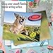 The Best Card Company - 10 Blank Dog Cards Assorted (4 x 5.12 Inch) - Adorable Boxed Animal Note Cards for All Occasions - The Flying K9 M6448OCB